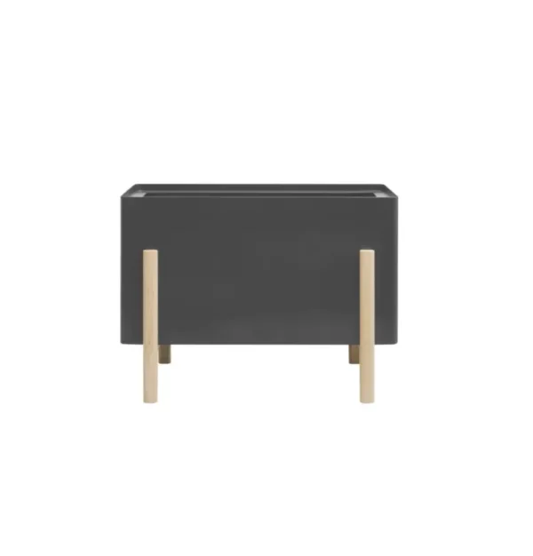 Enjoy ASHI – Image 3