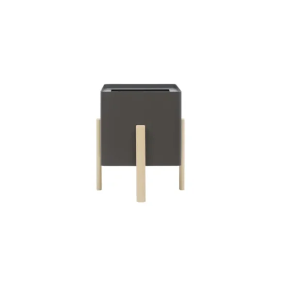 Enjoy ASHI – Image 5
