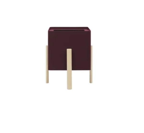 Enjoy ASHI – Image 12